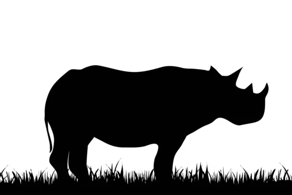 Ilustración Vectorial Rinoceronte Sobre Fondo Blanco — Archivo Imágenes Vectoriales