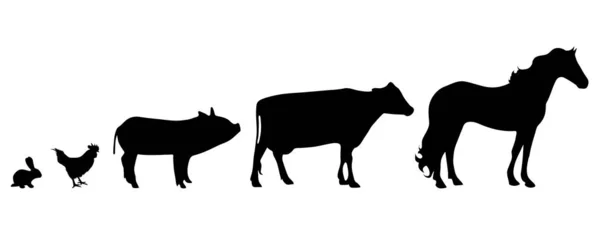 Silhouette Vectorielle Animal Ferme Sur Fond Blanc — Image vectorielle