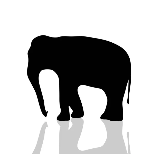 Vectorillustratie Van Een Olifant Witte Achtergrond — Stockvector