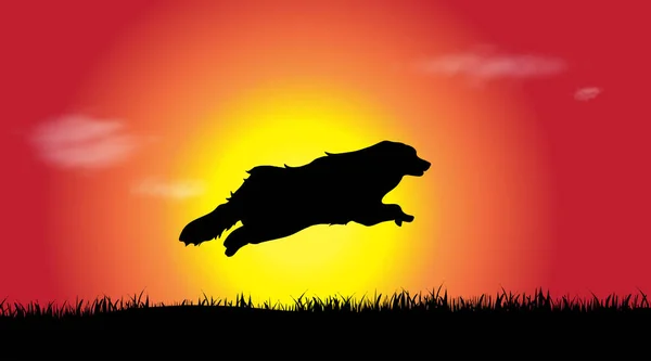 Vector Silhouet Van Een Hond Bij Zonsondergang — Stockvector