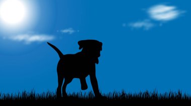Çayır köpeği vektör çizim güneşli gün.