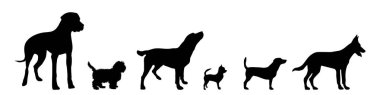 Beyaz bir arka plan üzerinde köpek vektör çizim.
