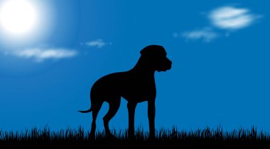 Çayır köpeği vektör çizim güneşli gün.