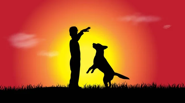 Vector Silhouet Van Een Jongen Met Hond Bij Zonsondergang — Stockvector