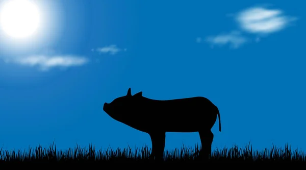 猪的向量剪影在草甸在阳光天 — 图库矢量图片