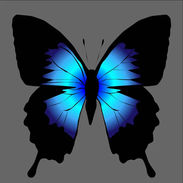 Silueta Vectorial Mariposa Sobre Fondo Blanco — Archivo Imágenes Vectoriales