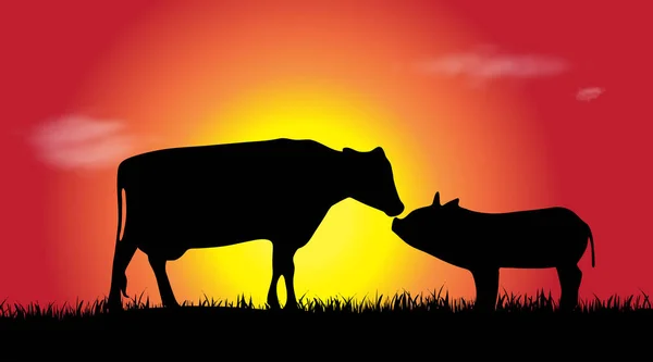 Vector Silhouet Van Landbouwhuisdieren Bij Zonsondergang — Stockvector