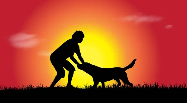 Vektorsilhouette Von Mann Mit Hund Bei Sonnenuntergang — Stockvektor