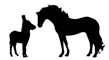 At ile eşek beyaz zemin üzerine siluet vektör.