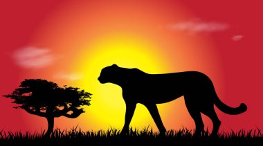 Cheetah savana, siluet vektör.