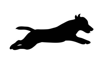 Beyaz arka plan üzerinde köpek siluet vektör.