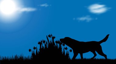 Bahçesinde köpek siluet vektör.