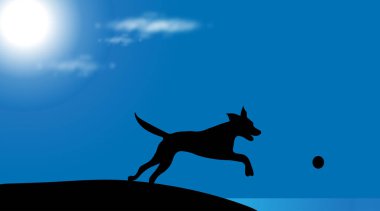Köpek güneşli bir gün plajda siluet vektör.