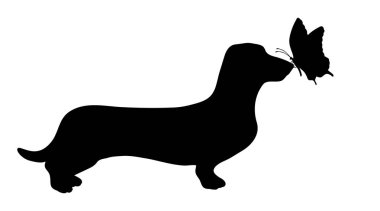 Beyaz arka plan üzerinde kelebek köpek siluet vektör.