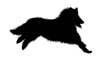 Beyaz arka plan üzerinde köpek siluet vektör.