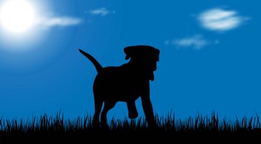 Bahçesinde köpek siluet vektör.