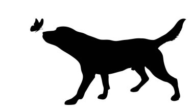 Beyaz arka plan üzerinde kelebek köpek siluet vektör.