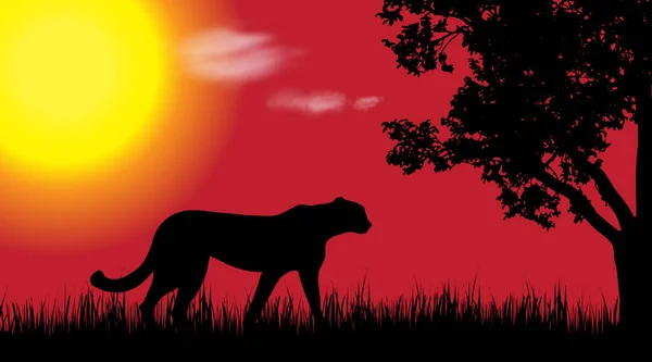 Silueta Vectorial Guepardo Naturaleza Atardecer — Vector de stock