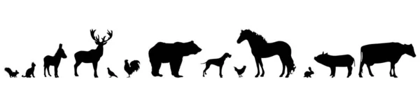 Silhouette Vectorielle Animal Sauvage Sur Fond Blanc — Image vectorielle