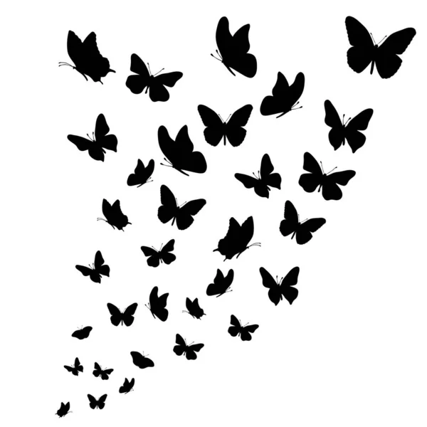 Silueta Vectorial Mariposas Sobre Fondo Blanco — Vector de stock