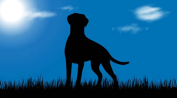 Vector Silhouet Van Hond Tuin — Stockvector