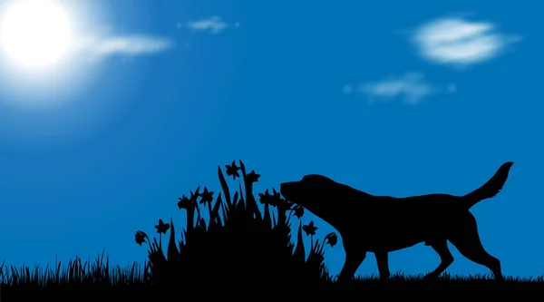 Vector Silhouet Van Hond Tuin — Stockvector