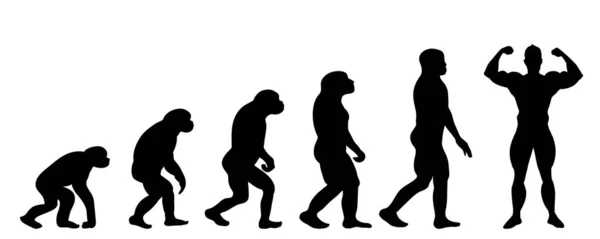 Silueta Vectorial Evolución Del Hombre — Archivo Imágenes Vectoriales