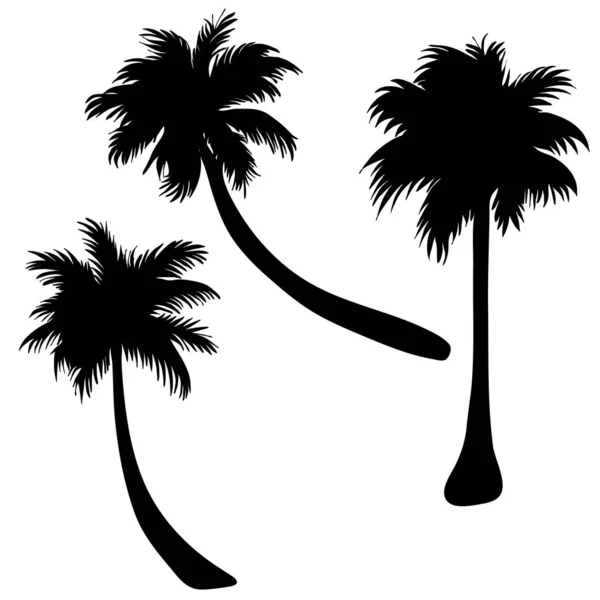 Vector Silhouet Van Palm Tree Witte Achtergrond — Stockvector