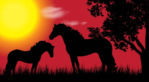 夕暮れ時自然に馬のベクトル シルエット — ストックベクタ