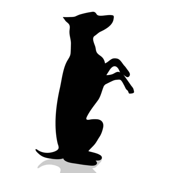 Vektor Silhouette Des Hundes Auf Weißem Hintergrund — Stockvektor