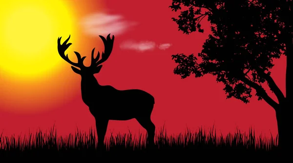 鹿的向量剪影在自然在日落时 — 图库矢量图片