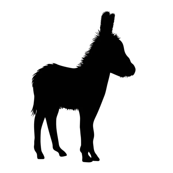 Vektor Silhouette Des Esels Auf Weißem Hintergrund — Stockvektor