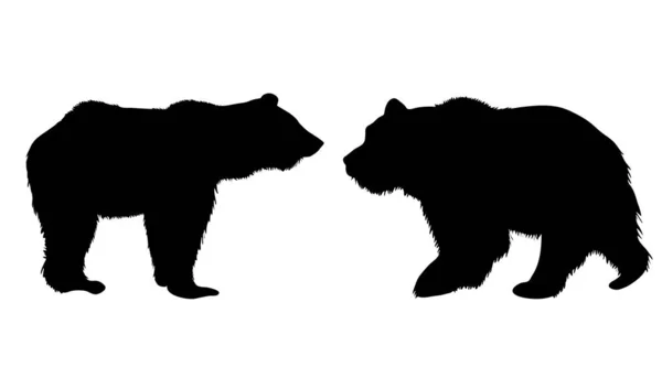 Sylwetka Wektor Niedźwiedzia Białym Tle — Wektor stockowy