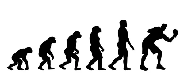 Векторный Силуэт Эволюции Человека — стоковый вектор