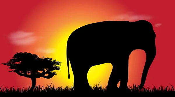Vektorsilhouette Eines Elefanten Der Savanne — Stockvektor