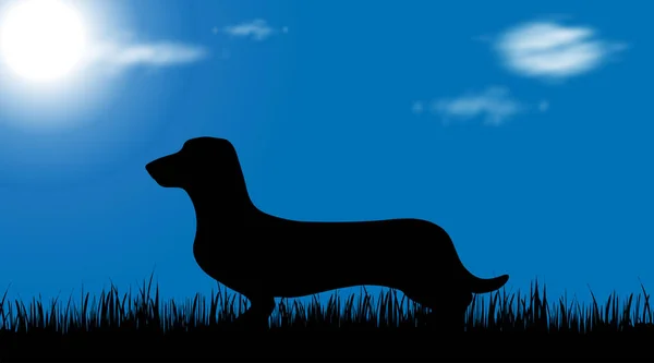 Vector Silhouette Dog Garden — Stock Vector