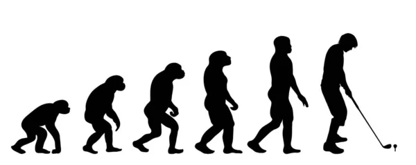 Silueta Vectorial Evolución Del Hombre — Archivo Imágenes Vectoriales