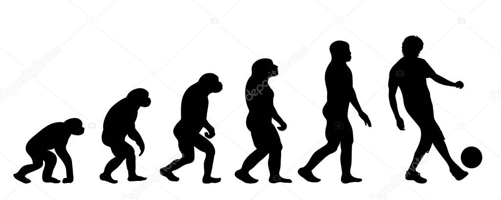 Vector silhouette of evolution of man.