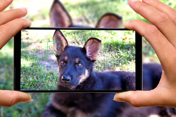 Женщина с фотографиями собаки мобильного телефона
.