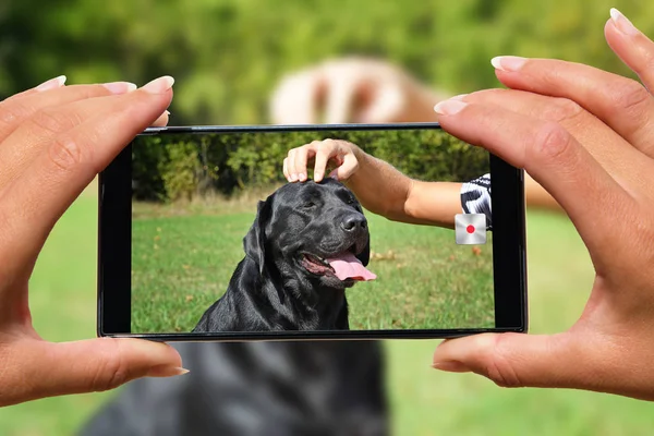 Mujer Con Fotos Teléfono Móvil Hombre Con Perro — Foto de Stock