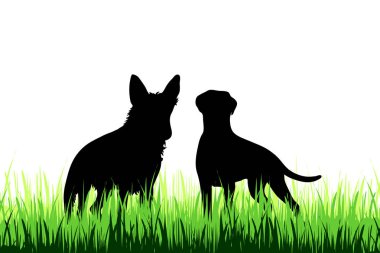 Beyaz zemin üzerinde bir çayır köpeği siluet vektör.