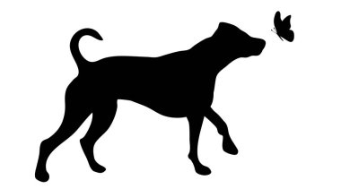 Beyaz arka plan üzerinde kelebek köpek siluet vektör.
