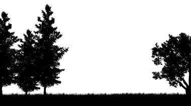 Beyaz arka plan üzerinde orman siluet vektör.