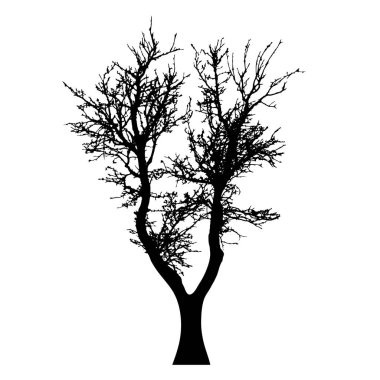 Ağaç beyaz zemin üzerine siluet vektör.