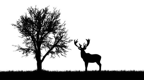 Silhouette Vettoriale Cervo Nella Foresta Sfondo Bianco — Vettoriale Stock