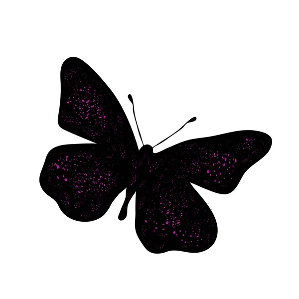 Ilustración Vectorial Mariposa Sobre Fondo Blanco — Vector de stock