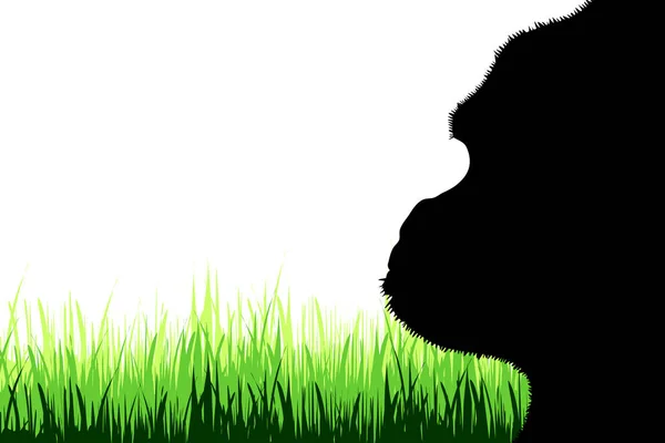 Vector Silhouette Gorilla Meadow White Background — Stock Vector