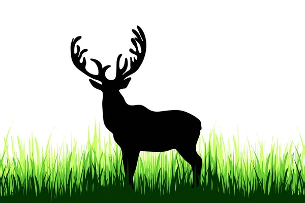 鹿的向量剪影在草甸在白色背景 — 图库矢量图片