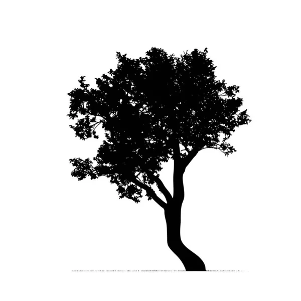 Silhouette Vectorielle Arbre Sur Fond Blanc — Image vectorielle