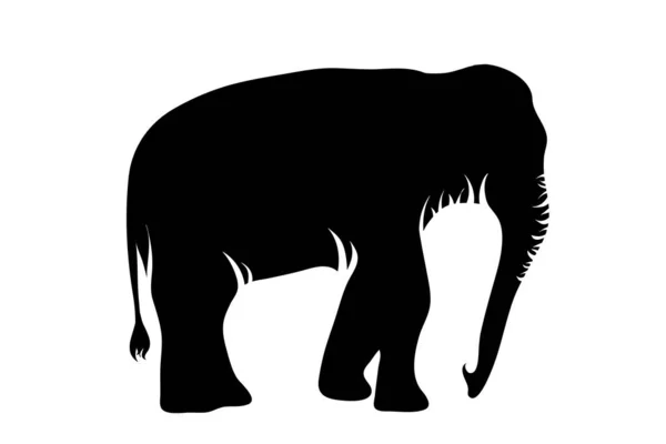 Silueta Vectorial Elefante Sobre Fondo Blanco — Archivo Imágenes Vectoriales
